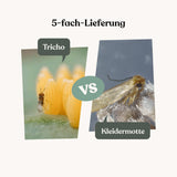 Tricho - gegen Kleidermotten (5-fach-Lieferung) Tricho - gegen Kleidermotten (5-fach-Lieferung)
