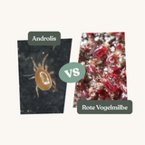 Androlis - gegen rote Vogelmilben Androlis - gegen rote Vogelmilben