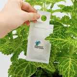 Protect Plants Deal - verhindere Schädlingsbefall Protect Plants Deal - verhindere Schädlingsbefall