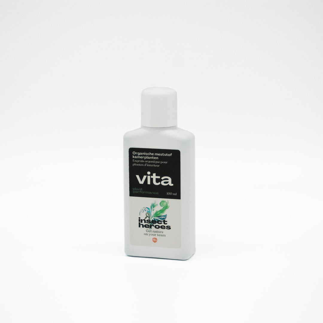 Vita Zimmerpflanzen Vita Zimmerpflanzen