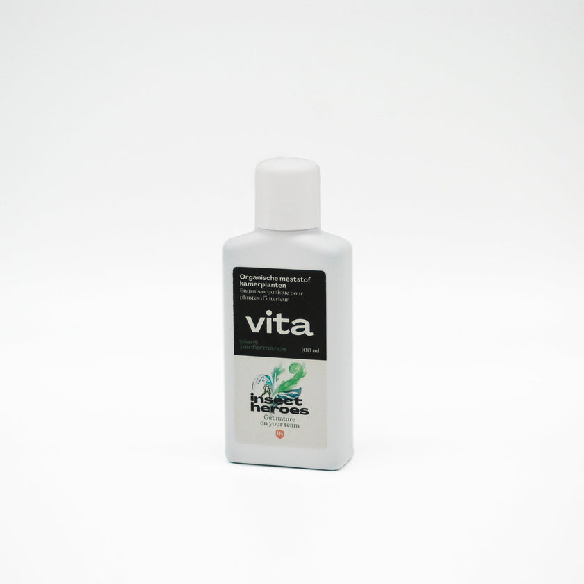 Vita Zimmerpflanzen Vita Zimmerpflanzen