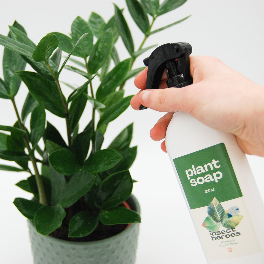 Plant Soap Plant Soap