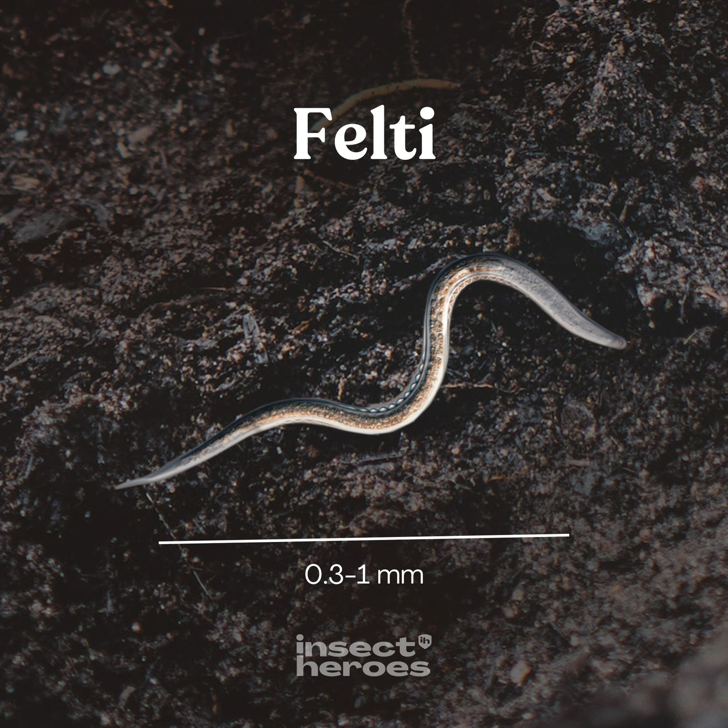 Felti (SF, Steinernema feltiae) Felti (SF, Steinernema feltiae)