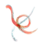Image 48892168143190 Nematoden