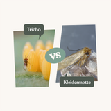 Tricho - gegen Kleidermotten Tricho - gegen Kleidermotten
