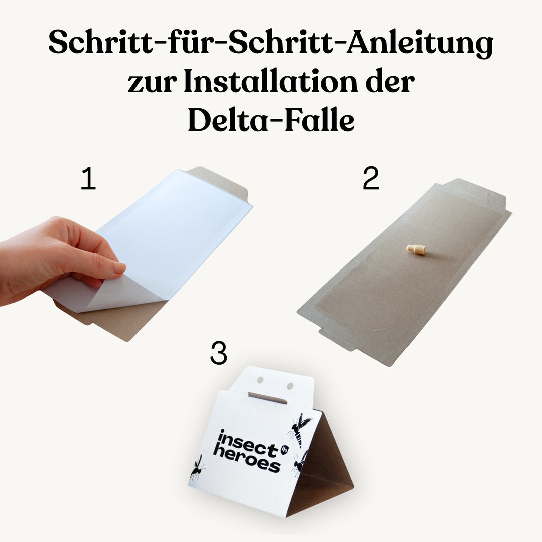 Delta-Falle und Lockstoff - gegen Lebensmittelmotten Delta-Falle und Lockstoff - gegen Lebensmittelmotten