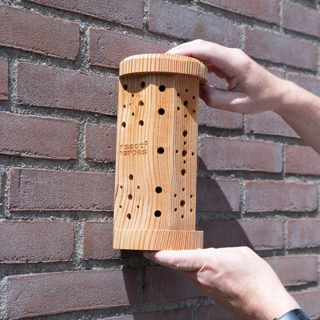 Insektenhotel kaufen oder selber bauen: Darauf solltest du achten!