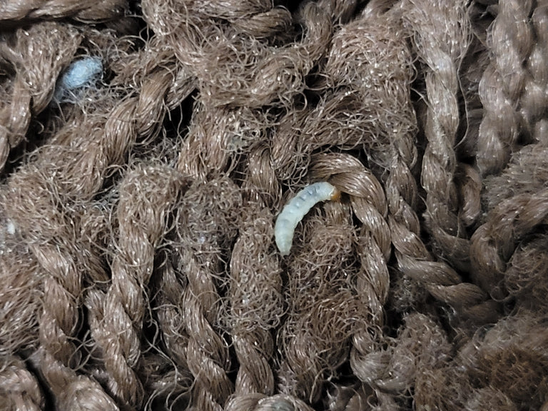 Image 59126066872662
