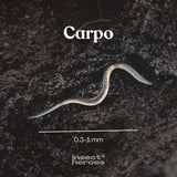 Carpo - gegen Schnakenlarven
