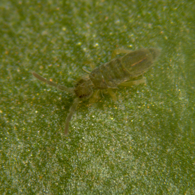 Image 57582198784342