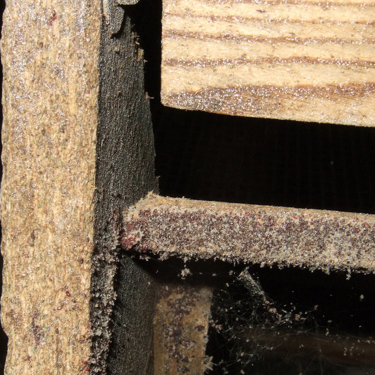 Image 57463654580566