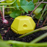 Limax Trap – gegen Schnecken