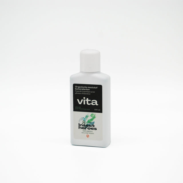 Vita Zimmerpflanzen
