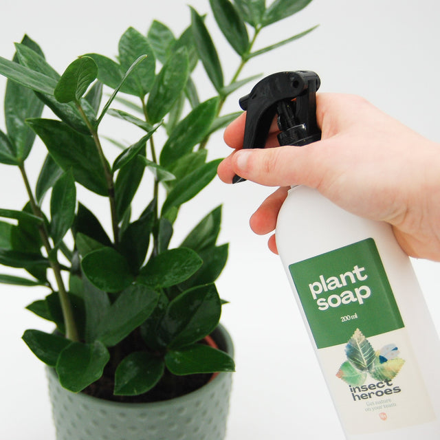 Plant Soap