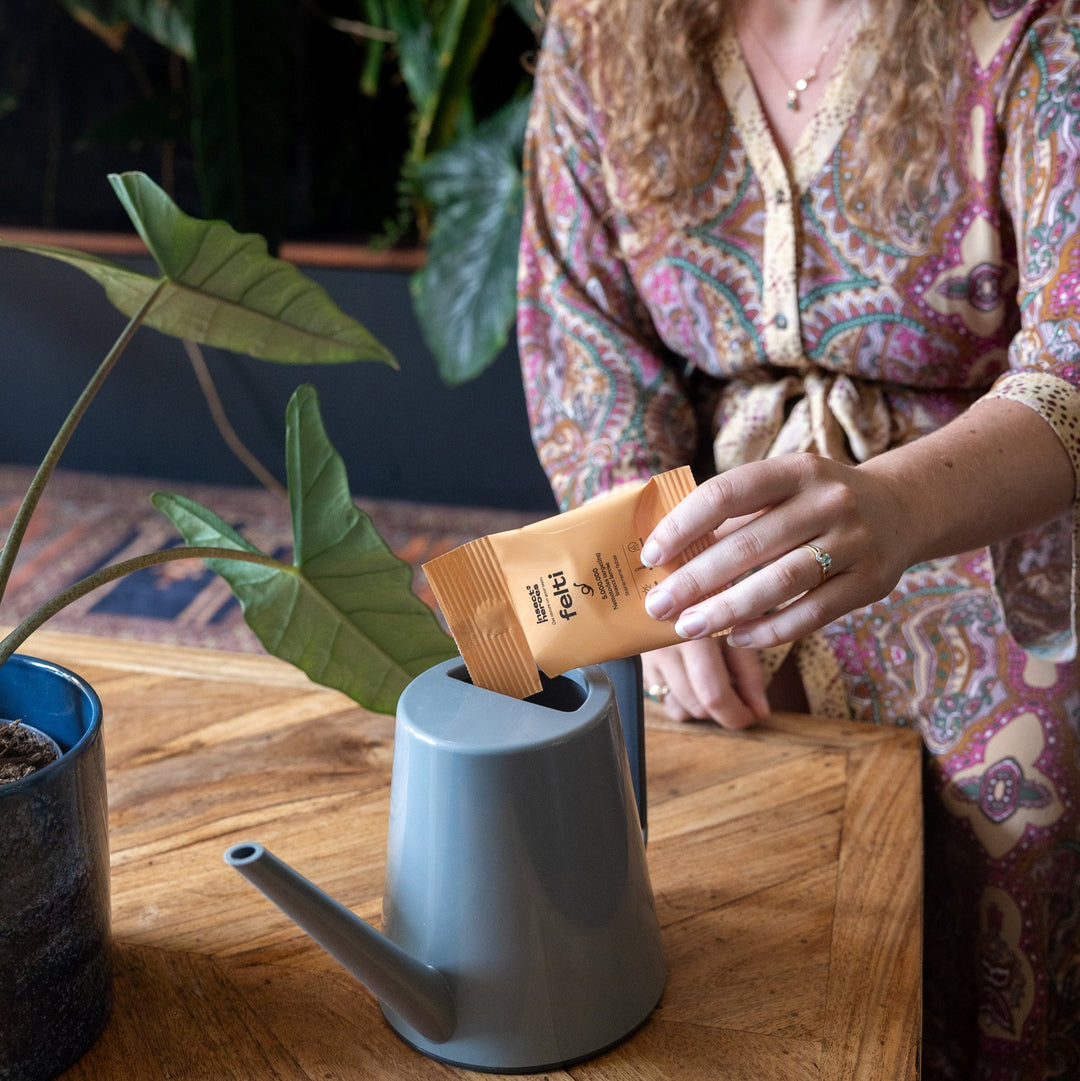 Protect Plants Deal - verhindere Schädlingsbefall