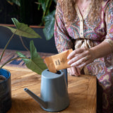 Protect Plants Deal - verhindere Schädlingsbefall