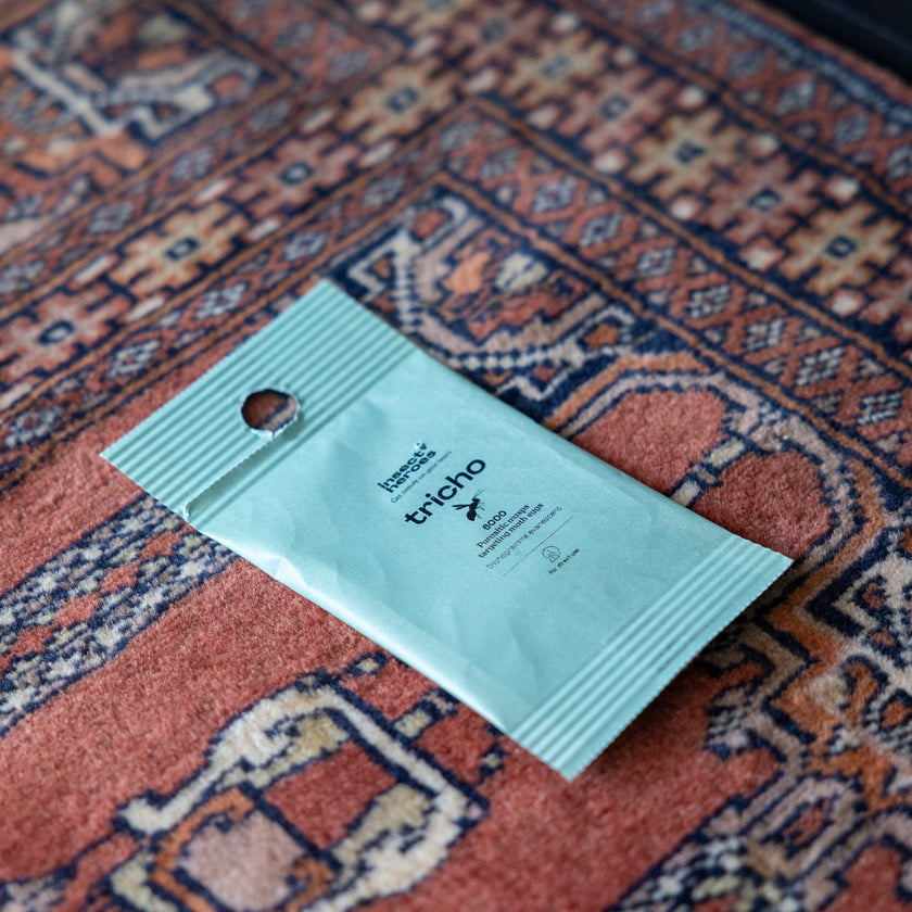 Tricho - gegen Lebensmittelmotten