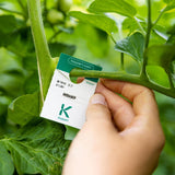 Mosi - gegen Weiße Fliege