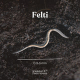 Felti - gegen Dickmaulrüssler