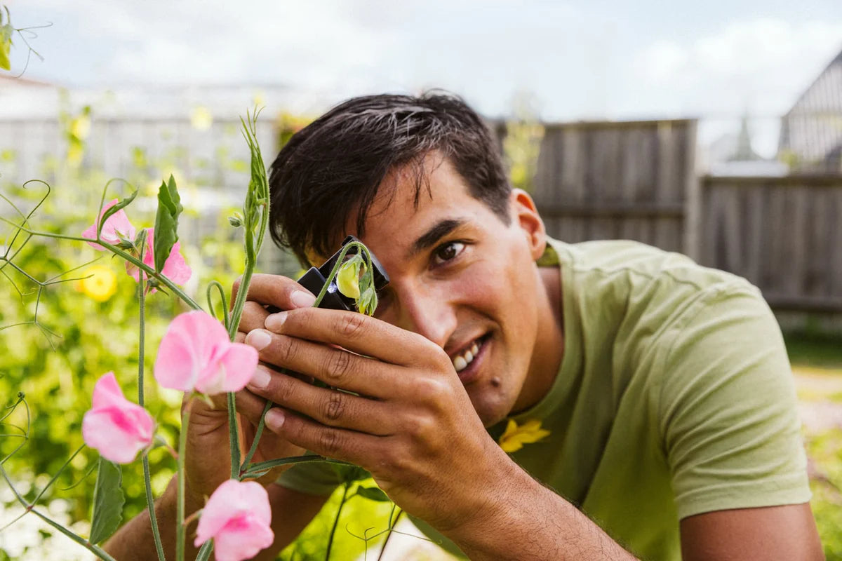 Image 57166778958166