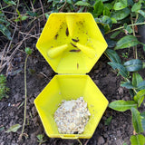 Limax Trap – gegen Schnecken
