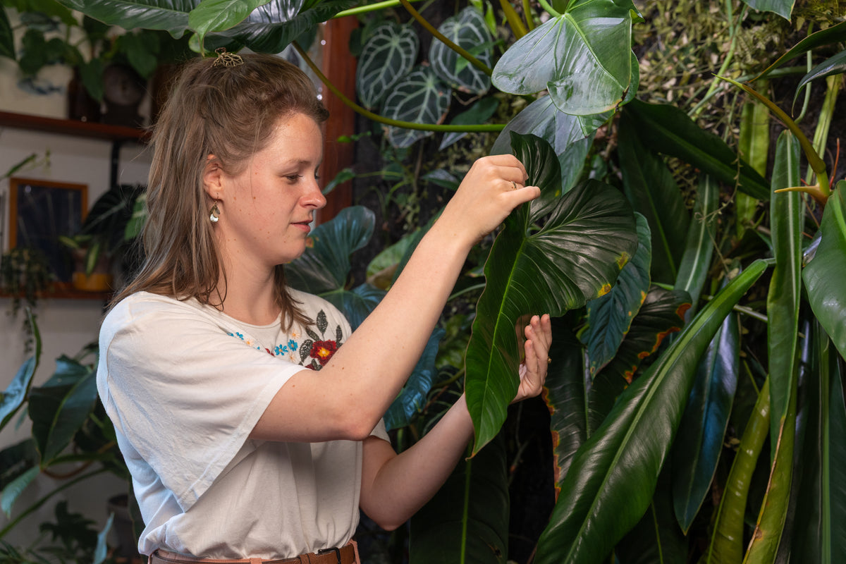 Image 57166487322966