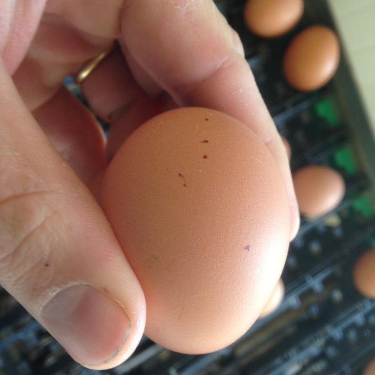 Image 57463662281046