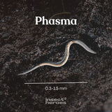 Phasma - gegen Schnecken