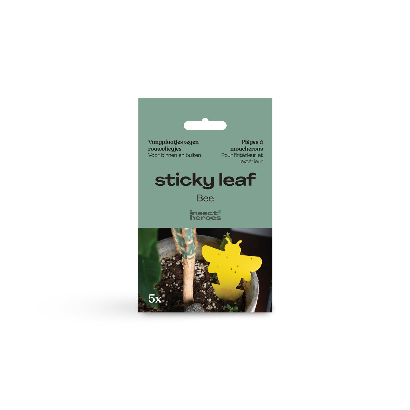 Sticky Leaf Bee - gegen Trauermücken