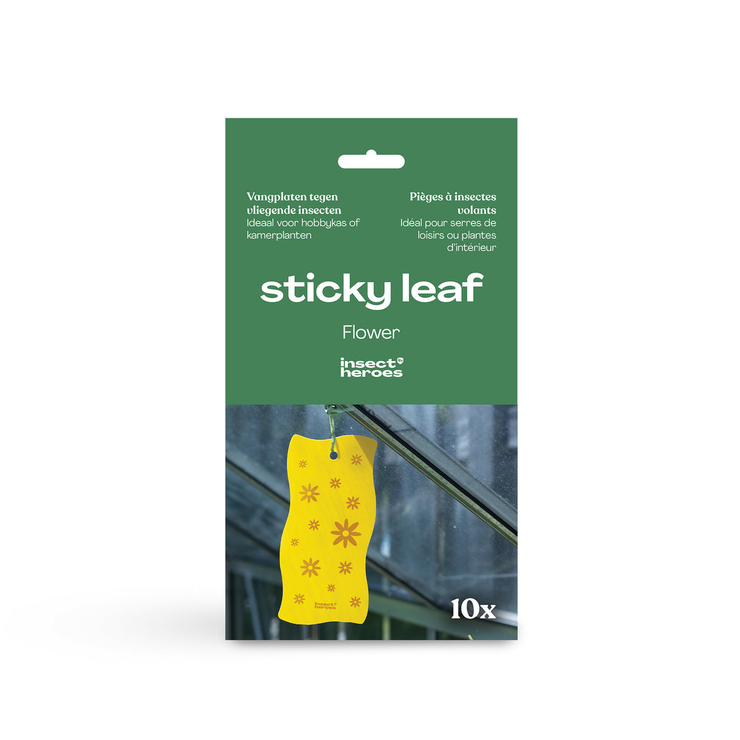 Sticky Leaf Gelb - gegen Thripse