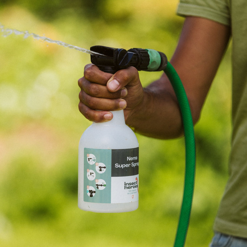 Nema Super Sprayer
