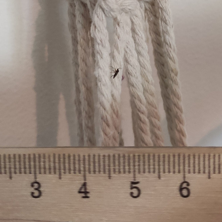 Image 64185989267798