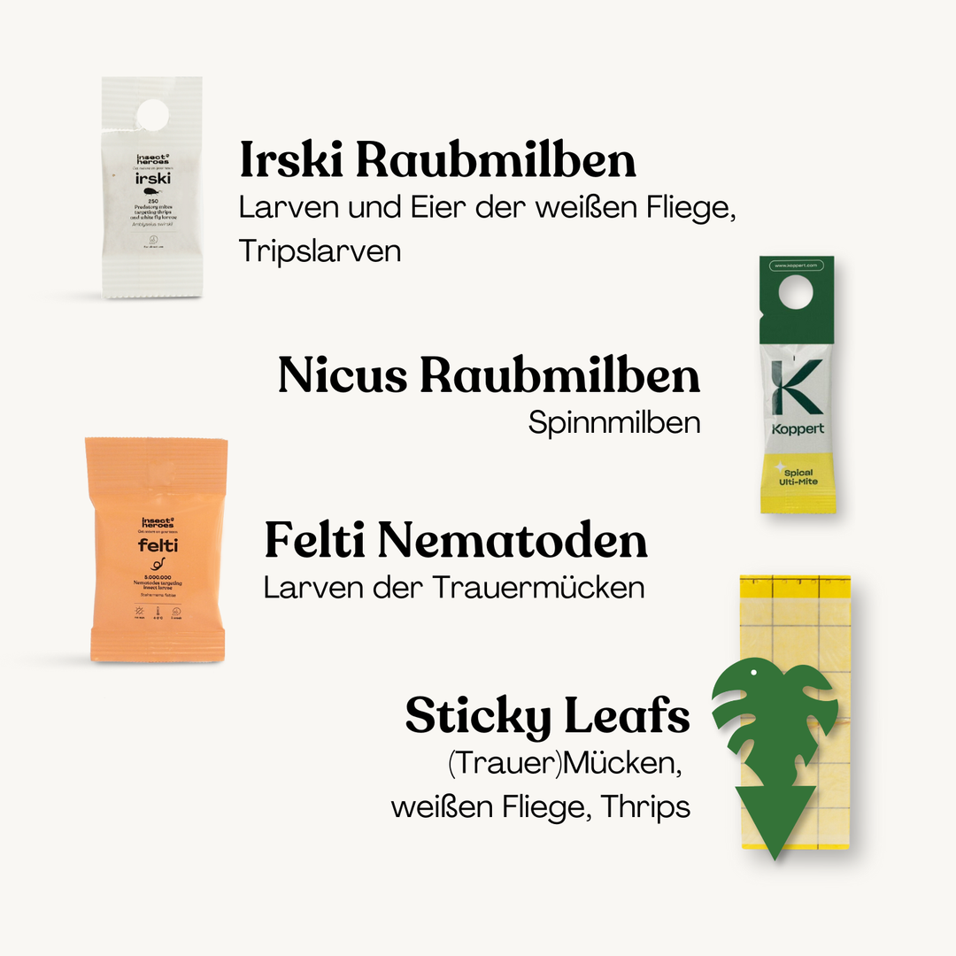 Protect Plants Deal - verhindere Schädlingsbefall