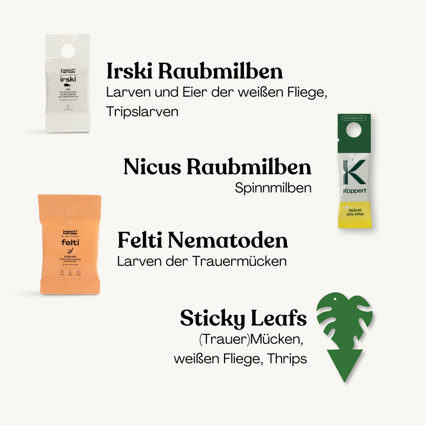 Protect Leafs Deal - verhindere Schädlingsbefall