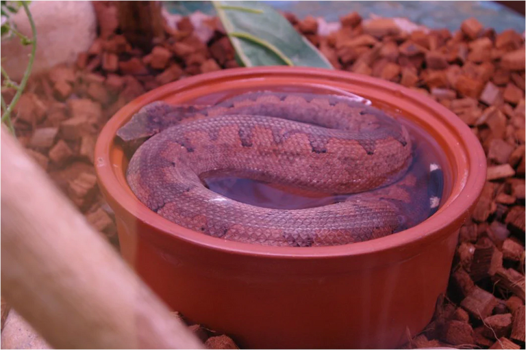 Image 57463797940566