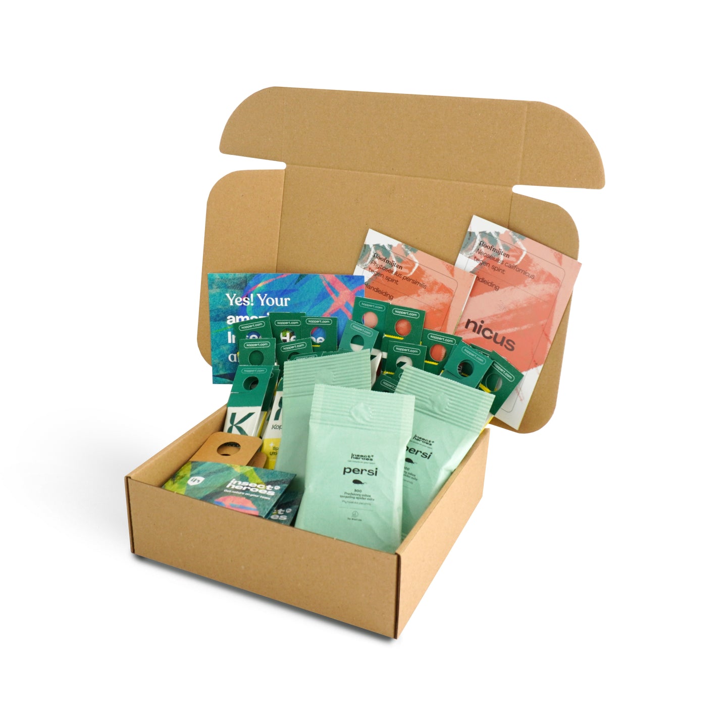 Jungle Deal - gegen Spinnmilben