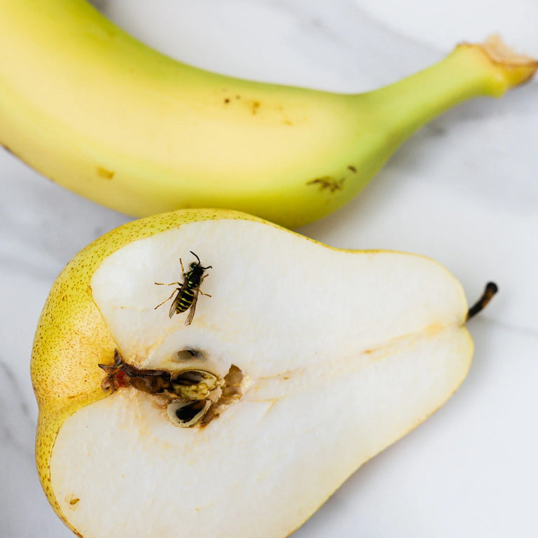 Image 57464224121174