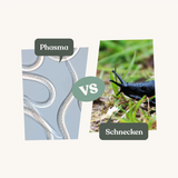 Phasma - gegen Schnecken