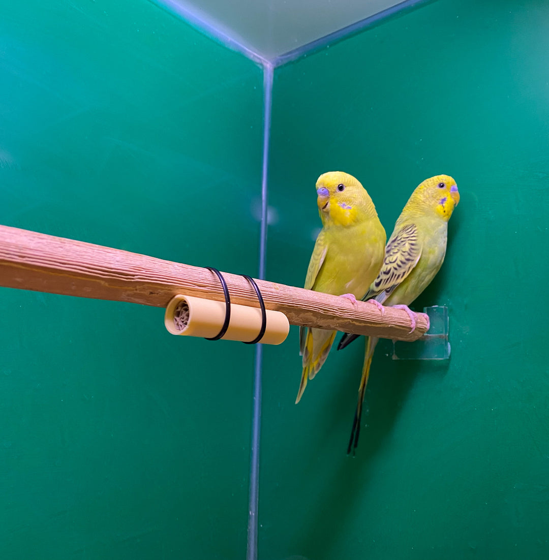 Combi Deal - Rote Vogelmilben vorbeugen