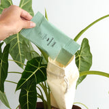 Puncta - gegen Blattläuse