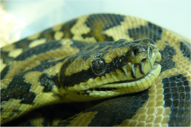 Image 57463841489238