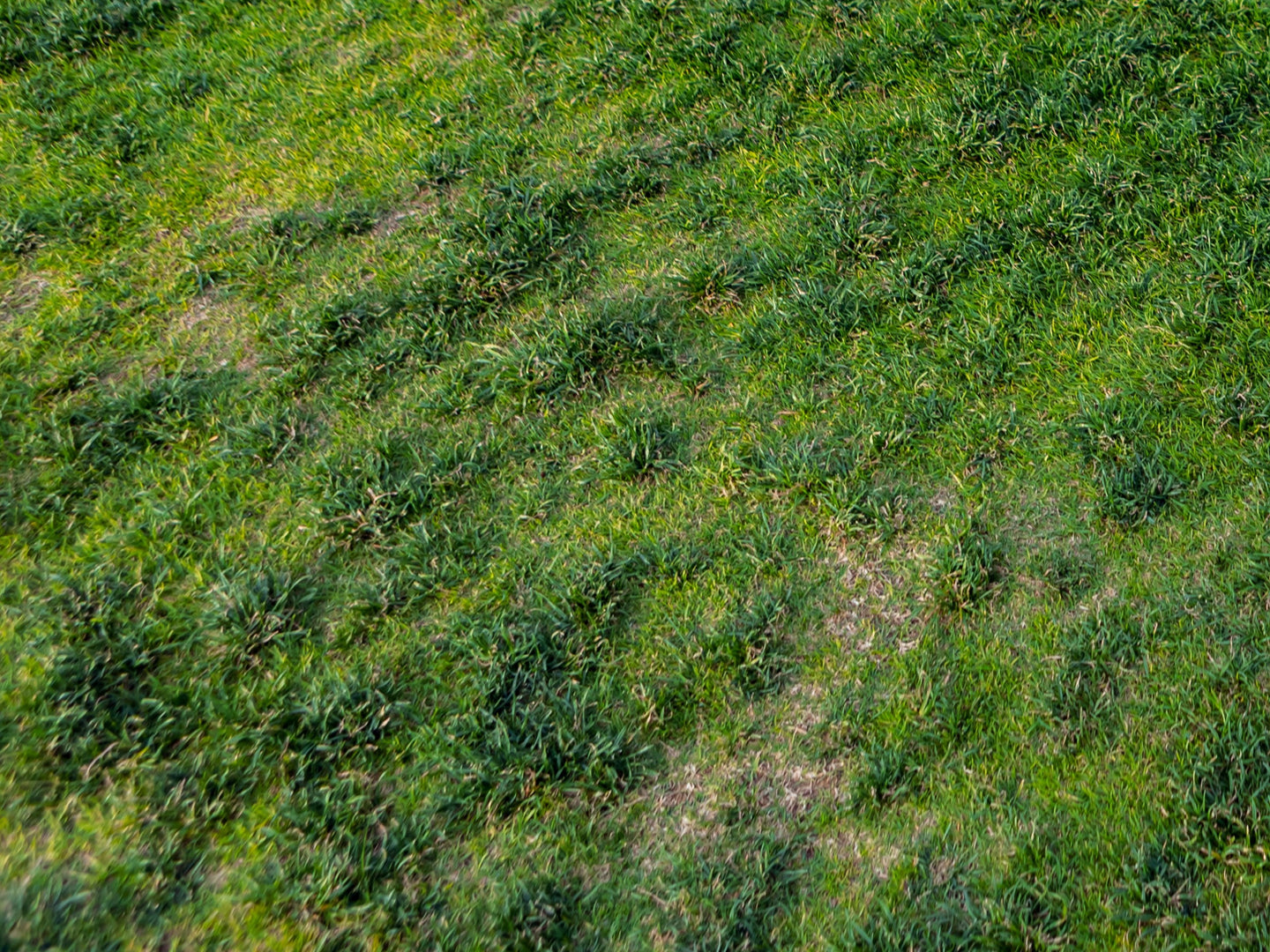 Image 60268824363350