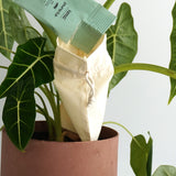 Aussetz-Säckchen Puncta